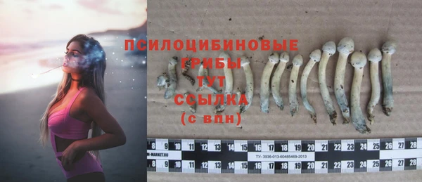 герыч Пересвет