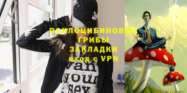 герыч Пересвет