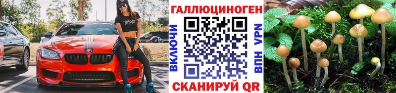 Галлюциногенные грибы Cubensis  купить наркотики цена  OMG ссылка  Семилуки 